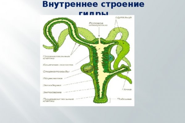 Кракен ссылка 2025